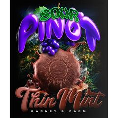 Thin Mint x Sour Pinot auto, Фасовка: 5
